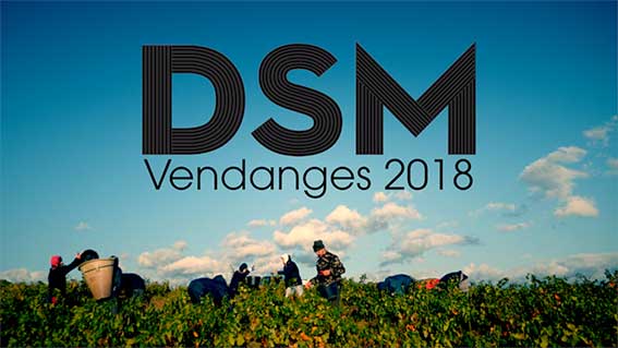 DSM Vendanges 2018