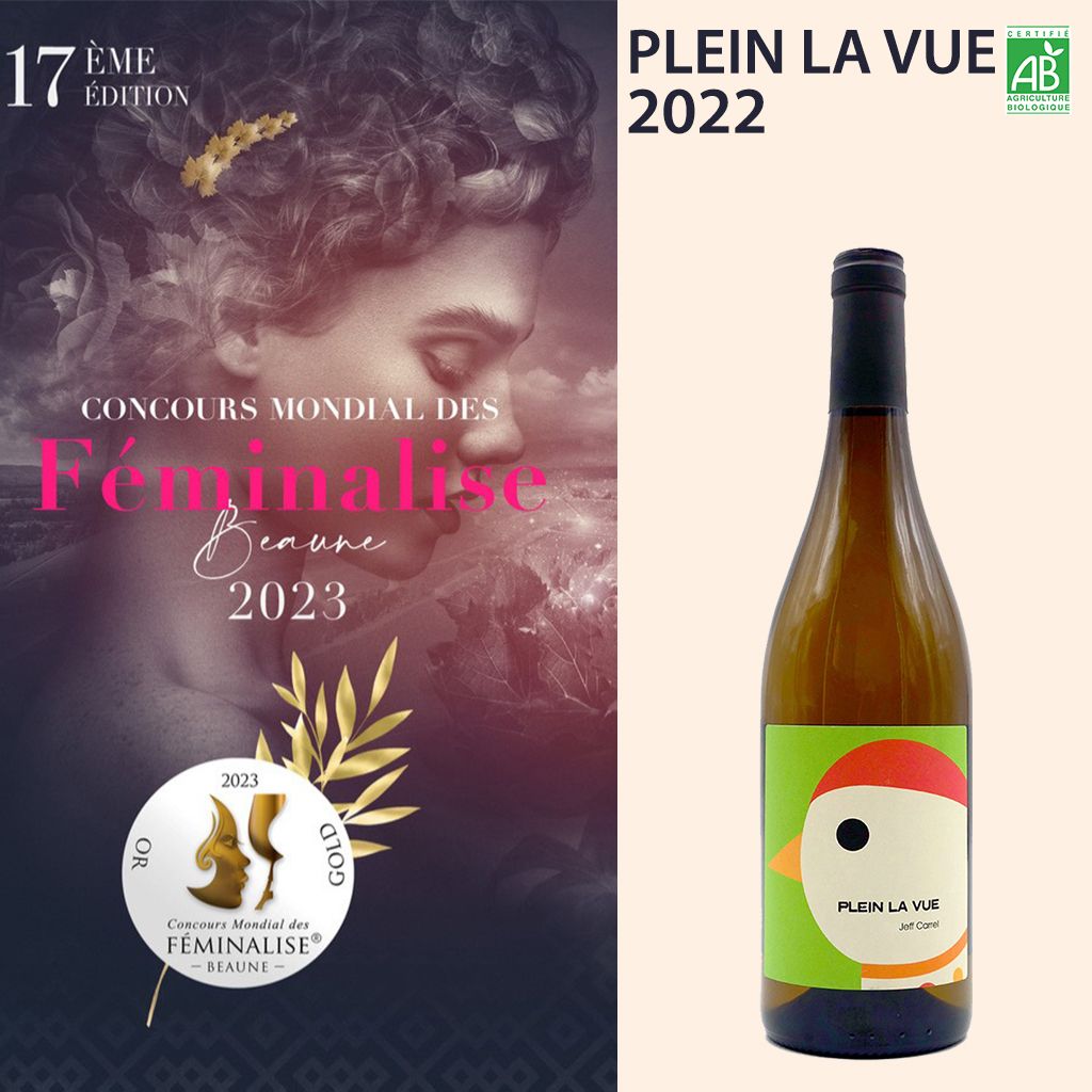 FEMINALISE 2023 PLEIN LA VUE 2022