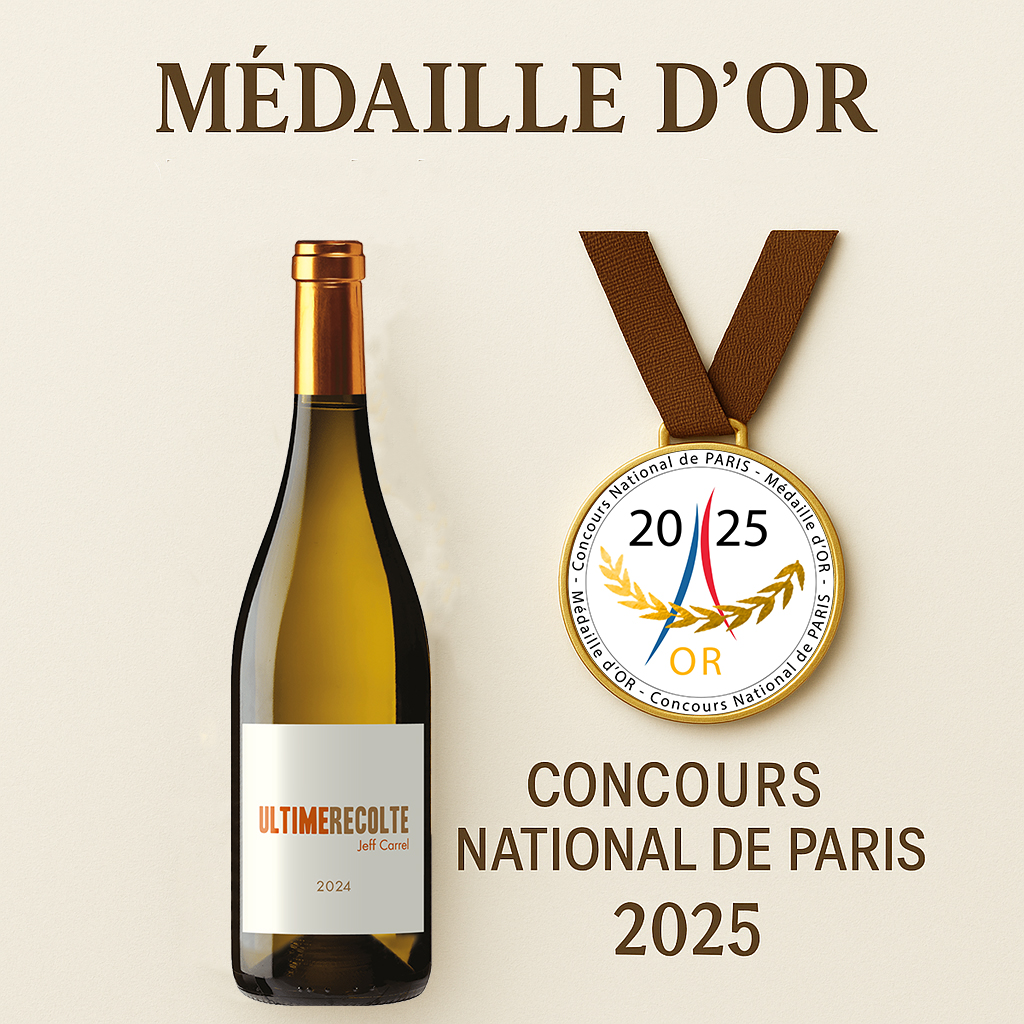 CONCOURS INTERNATIONAL DE PARIS 2025