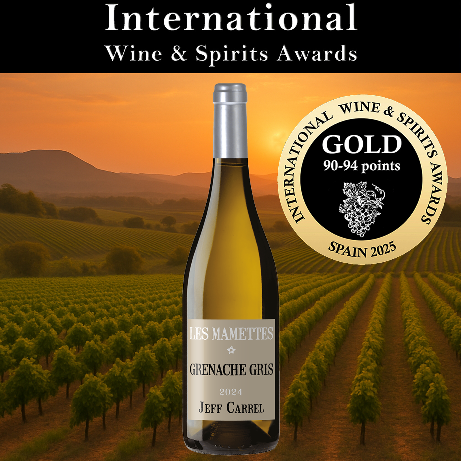 INTERNATIONAL-WINE-AND-SPIRITS-AWARDS-2025