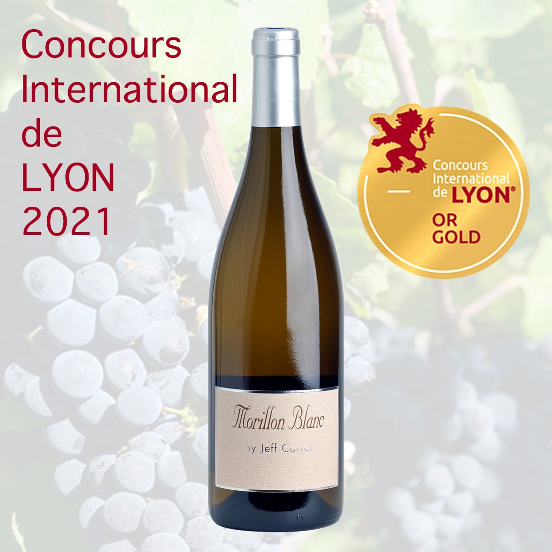 COCNOURS INTERNATIONAL DE LYON OR