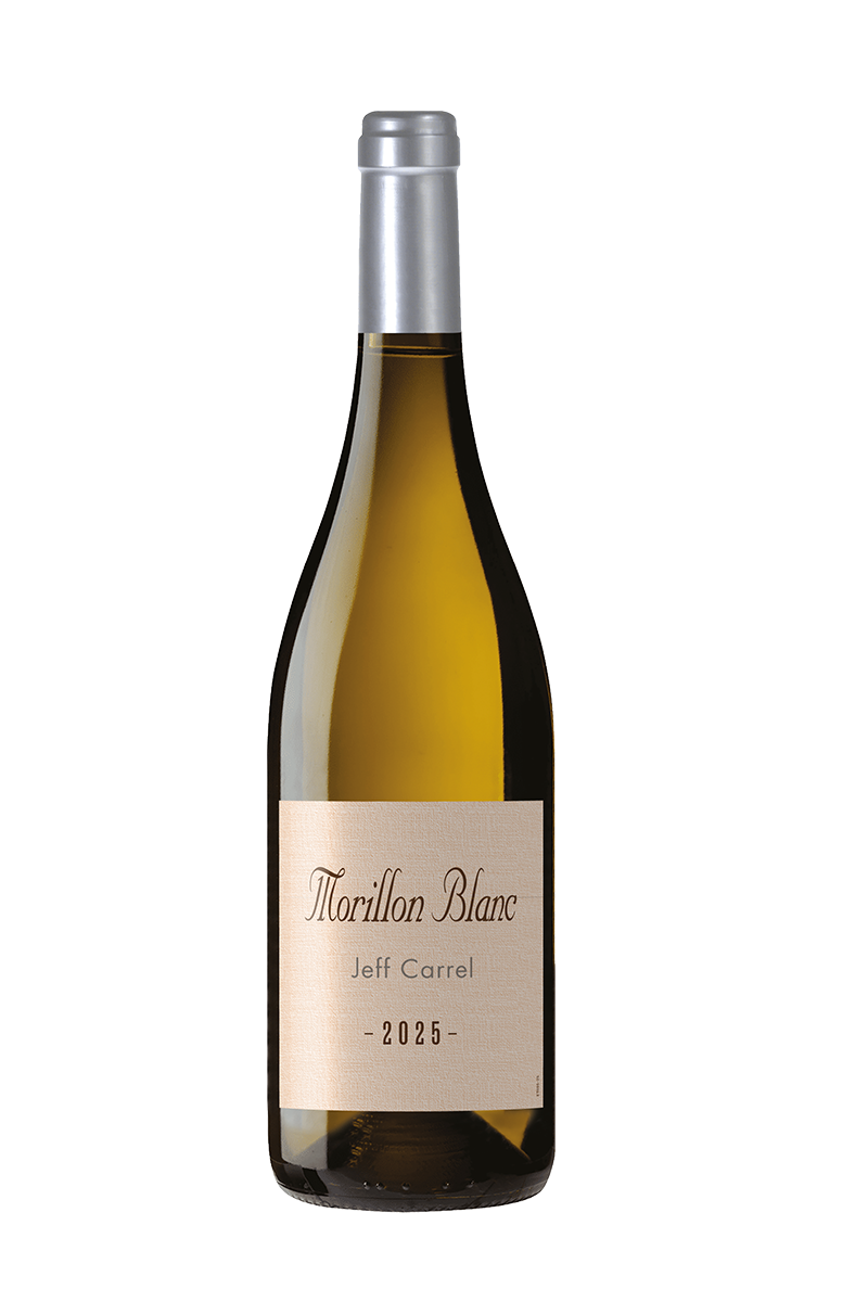 Morillon Blanc by Jeff Carrel