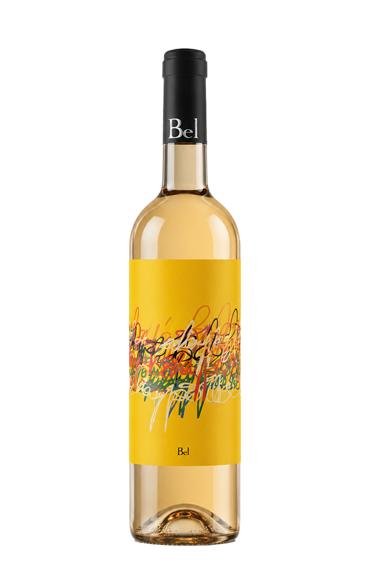 OLIVIER CAZENAVE ECHAPPEE BEL BLANC EN 