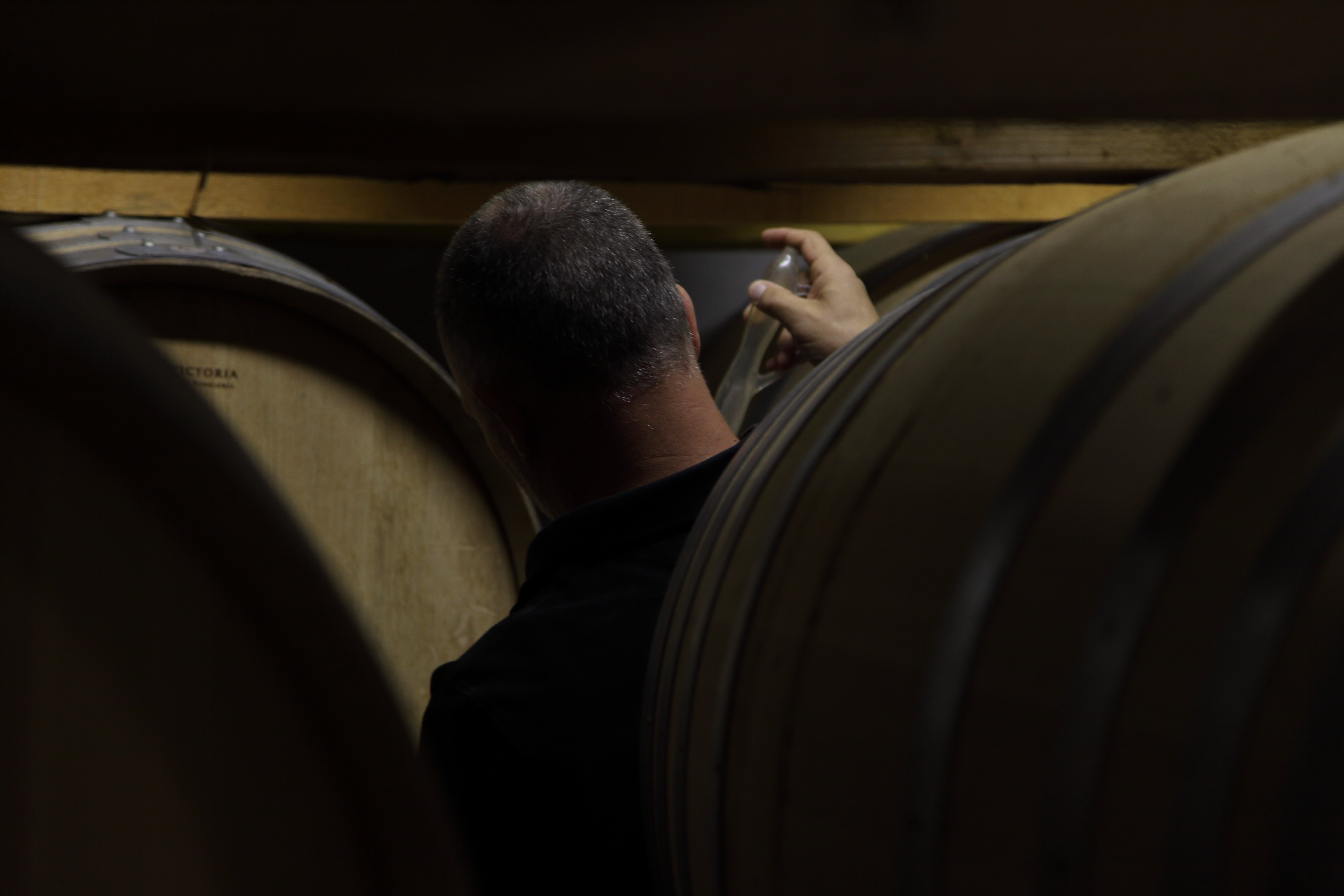 Jeff Carrel winemaker