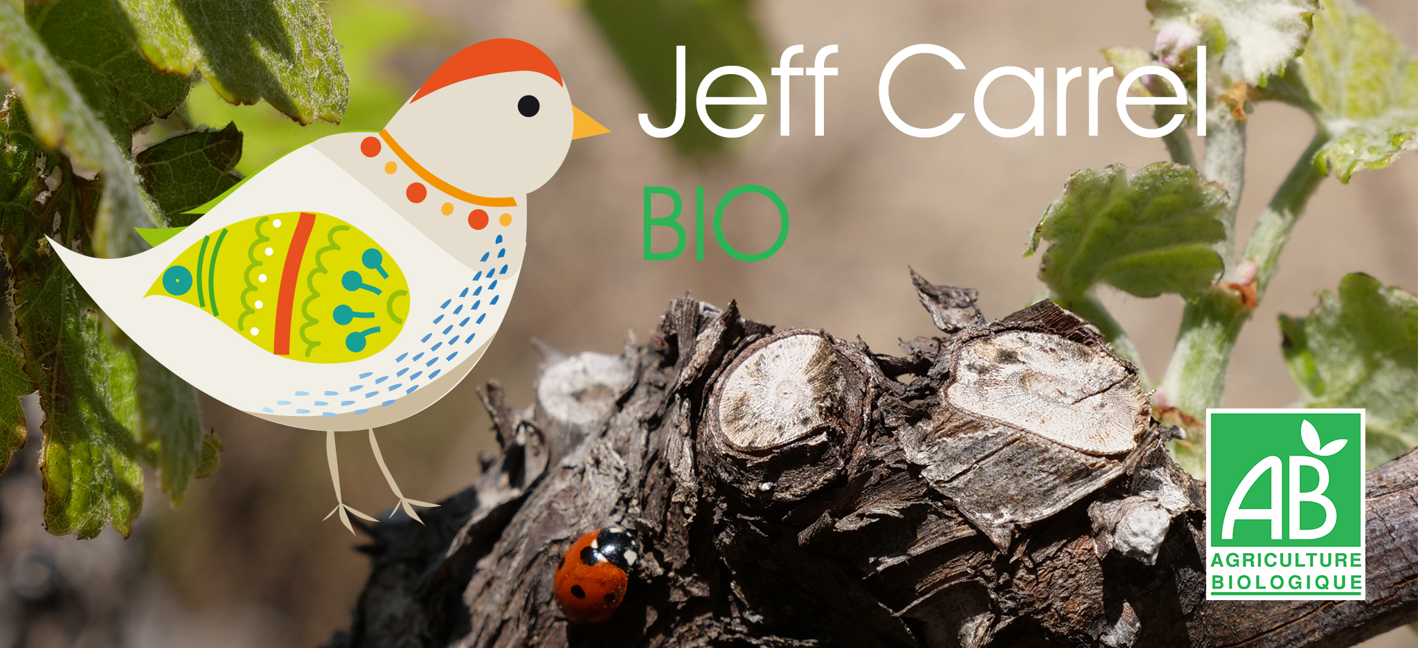  vins bio Jeff Carrel