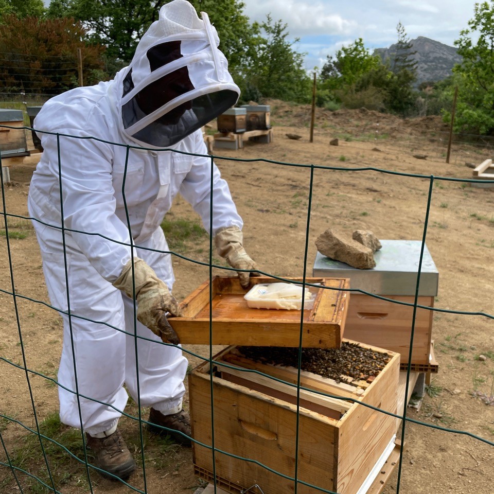 Domaine sous la Montagne