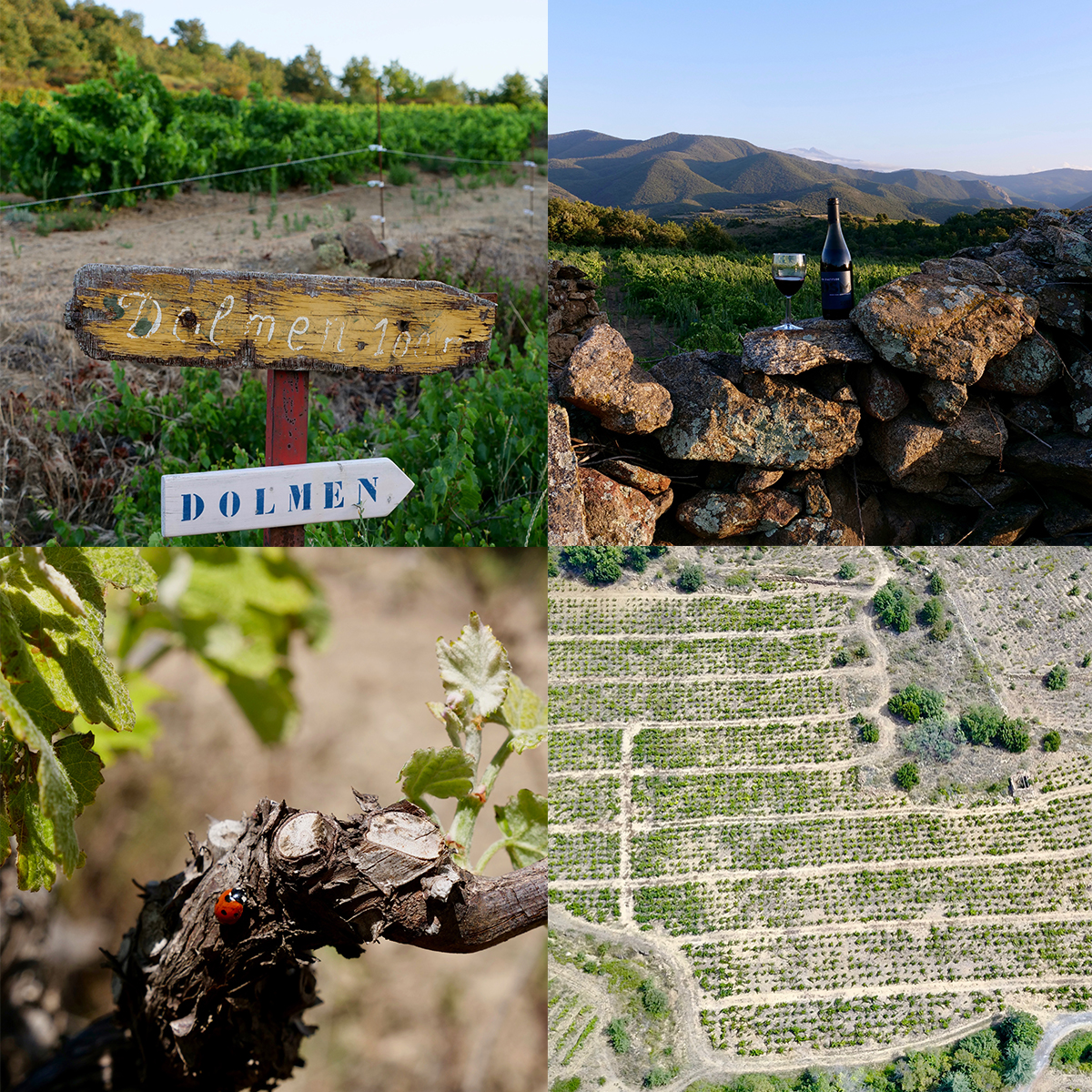 Domaine sous la Montagne