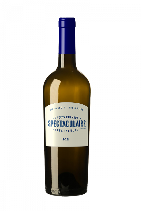 Chat Gris Vin ORANGE by Jeff Carrel