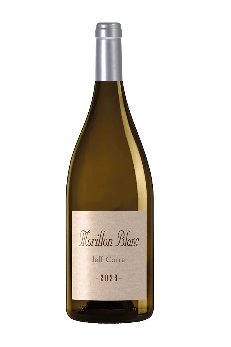 MORILLON by Jeff Carrel vin blanc