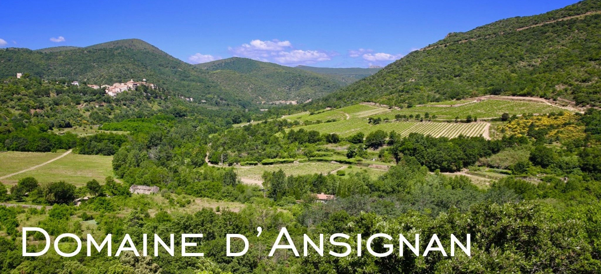 Domaine d'Ansignan Sous la montagne jeff carrel sébastien calduch
