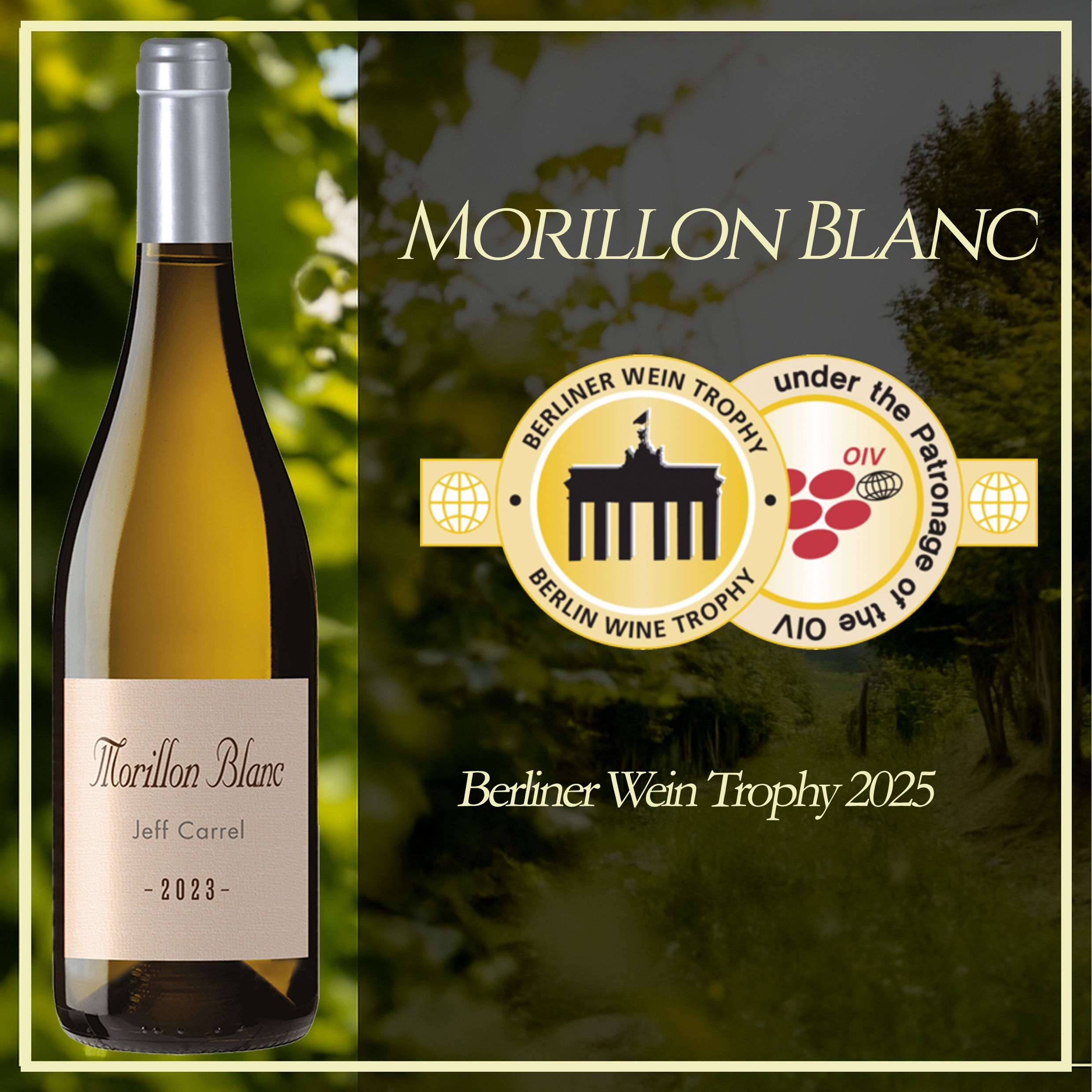 BERLINER-WEIN-TROPHY-2025-GOLD-MEDAL