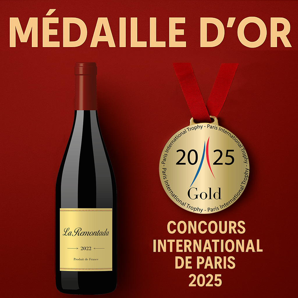 CONCOURS INTERNATIONAL DE PARIS 2025