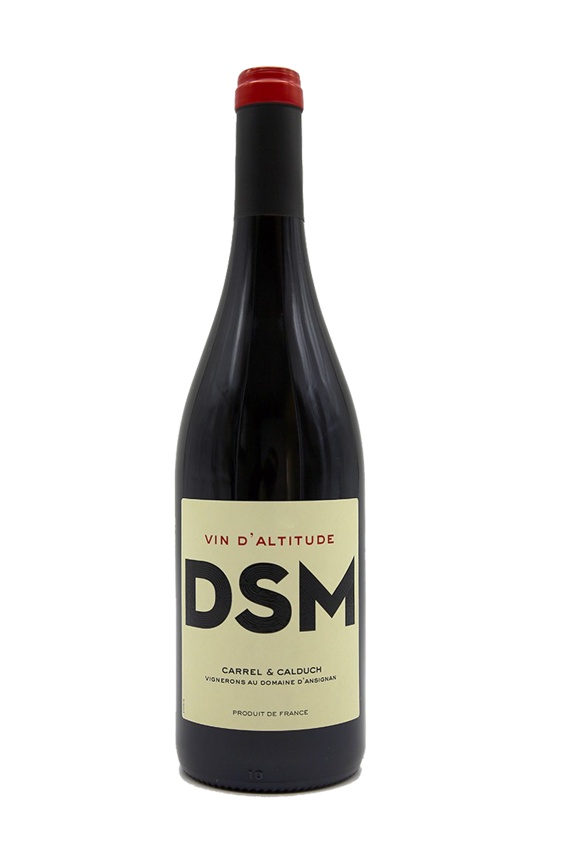 Domaine sous la montagne DSM