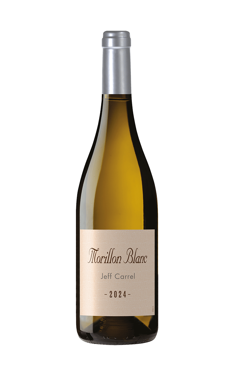 MORILLON by Jeff Carrel vin blanc