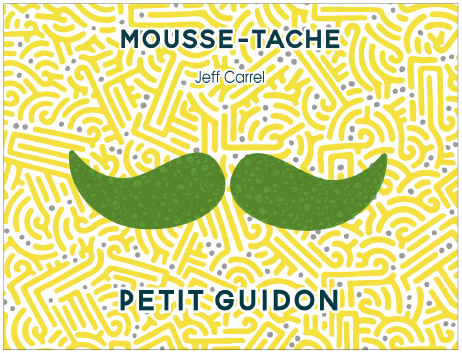 Mousse tache chenin by jeff carrel blanc